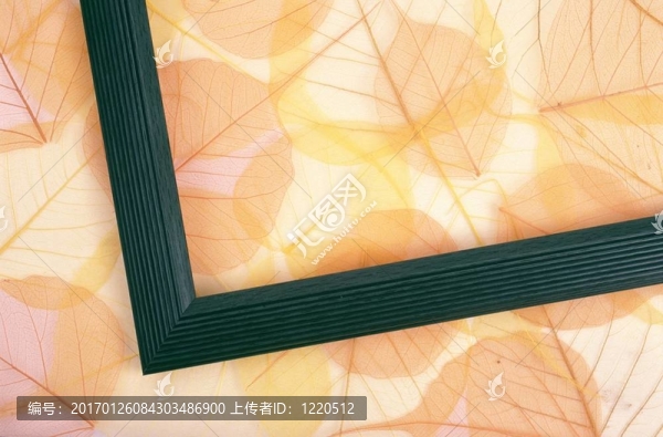 干色葉和框架-匯圖網(wǎng) www.fosd68.com 干色葉和框架