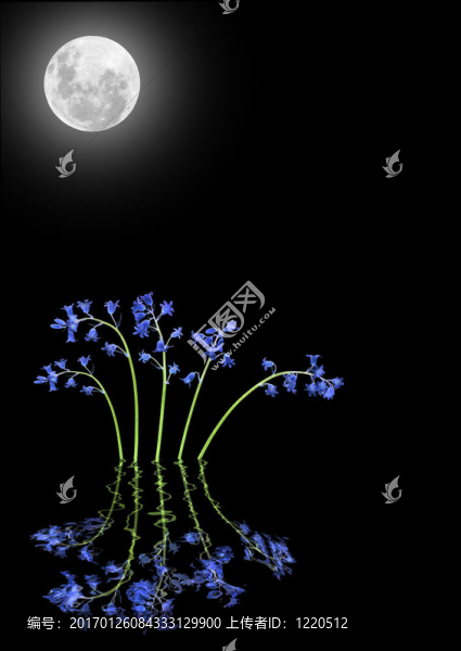 月光下的藍(lán)鈴花