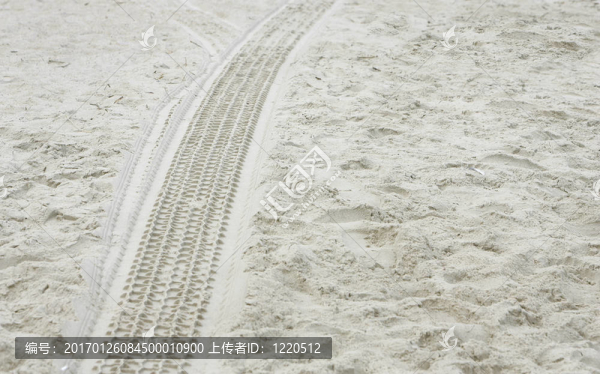 沙灘上的輪胎痕跡