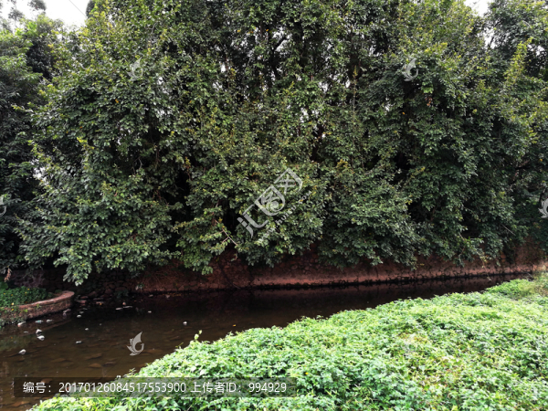 深圳東湖公園