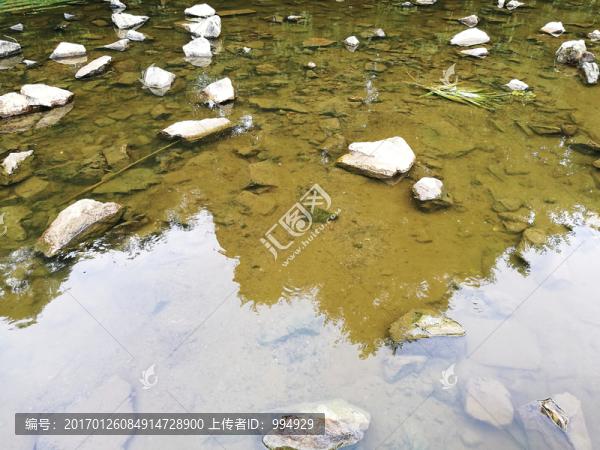 深圳東湖公園清澈河水