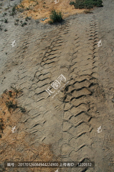 輪胎痕跡