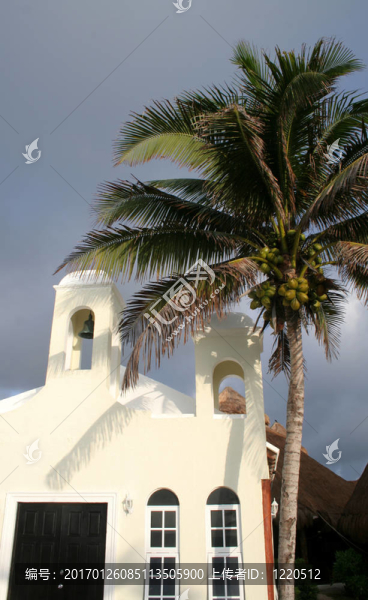 教堂和棕櫚樹