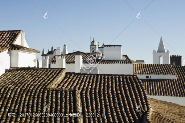 傳統(tǒng)的屋頂