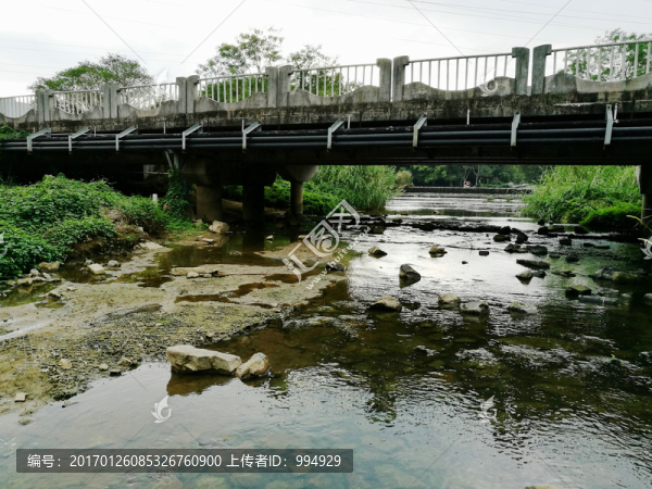 深圳東湖公園風(fēng)景