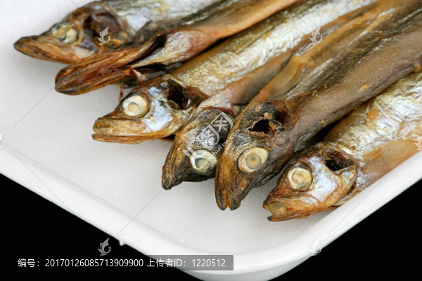毛鱗魚