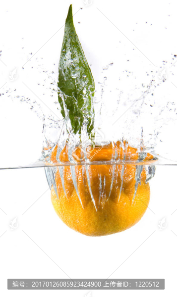 Tangerine夜店的水