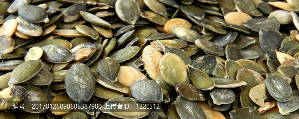 南瓜種子的特寫