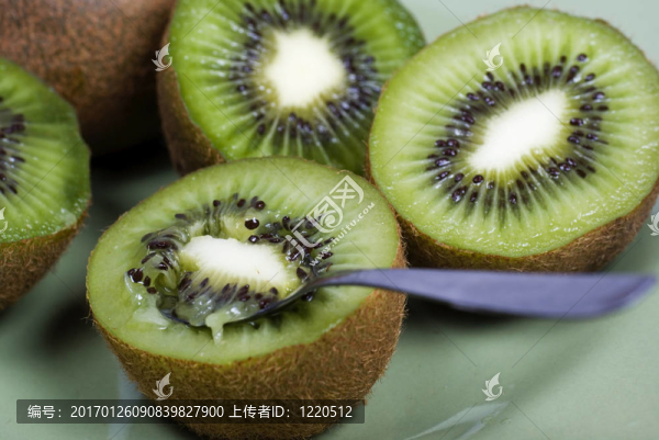 幾維鳥(niǎo)