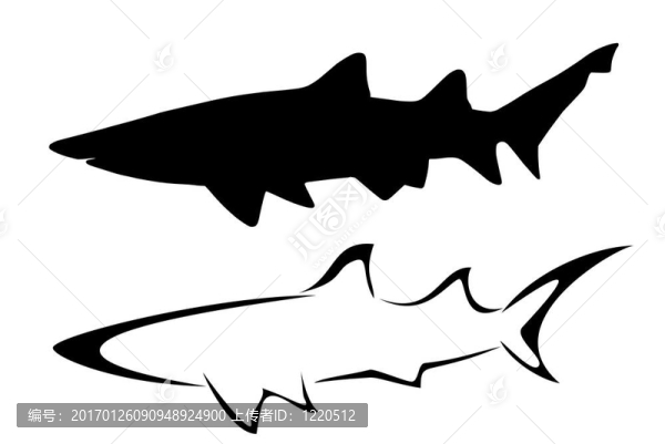 鯊魚