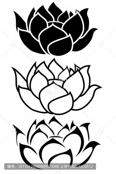 蓮花