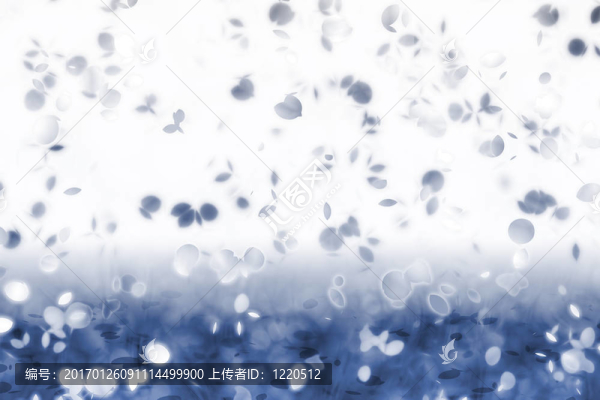 飄落的樹(shù)葉
