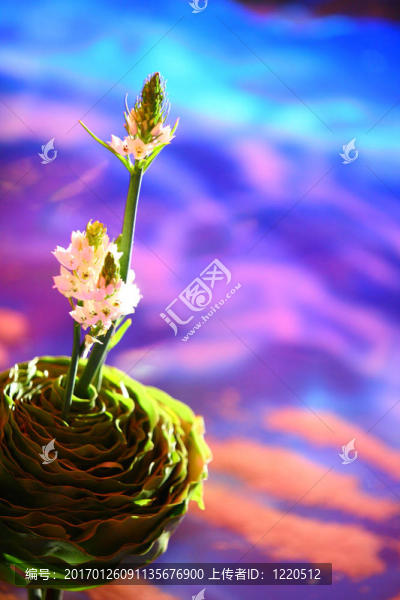 花