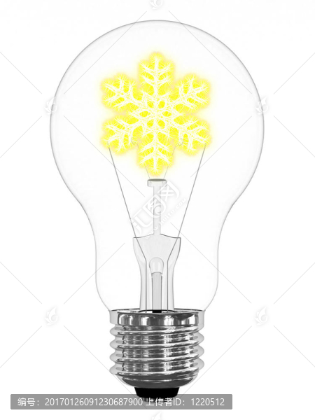 燈泡的閃亮的雪花里面