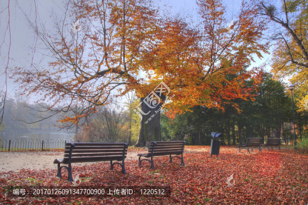 秋天在公園里的顏色
