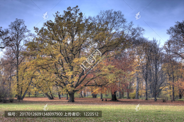 秋天在公園里的顏色