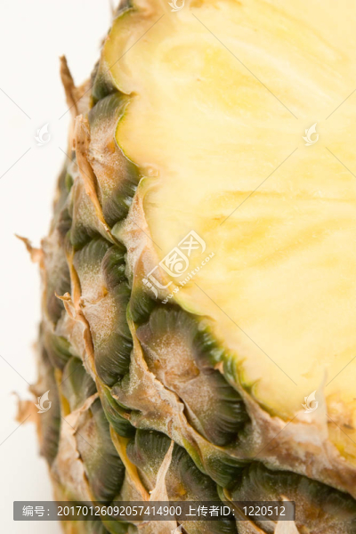 菠蘿