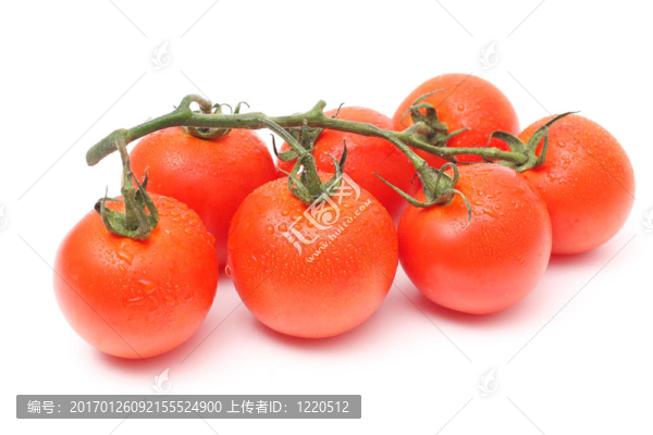 七西紅柿滴