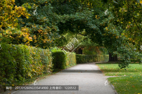 公園的小徑