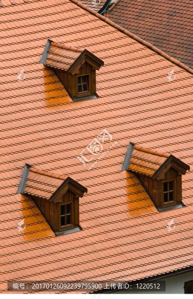 瓦屋頂