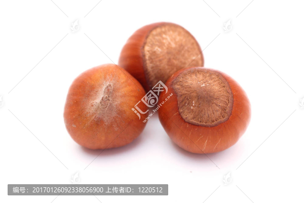 三榛子