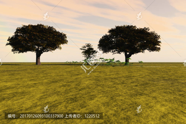 草地和樹木