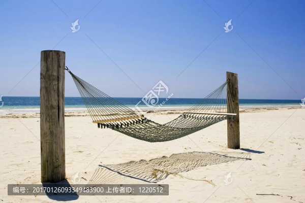 大巴哈馬島島的吊床