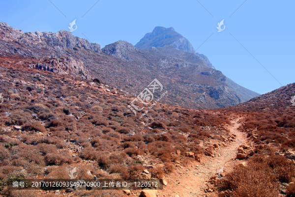 山