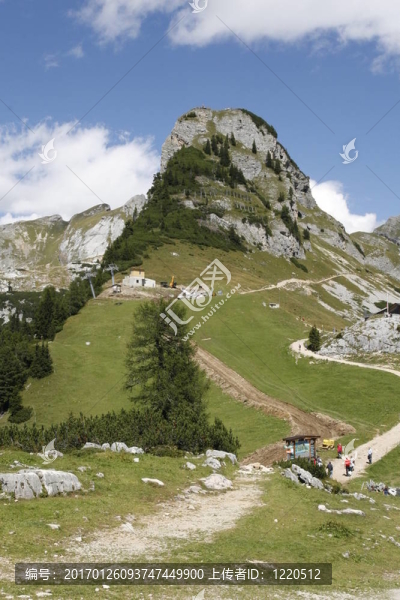 高高的山上-匯圖網(wǎng) www.fosd68.com 高高的山上