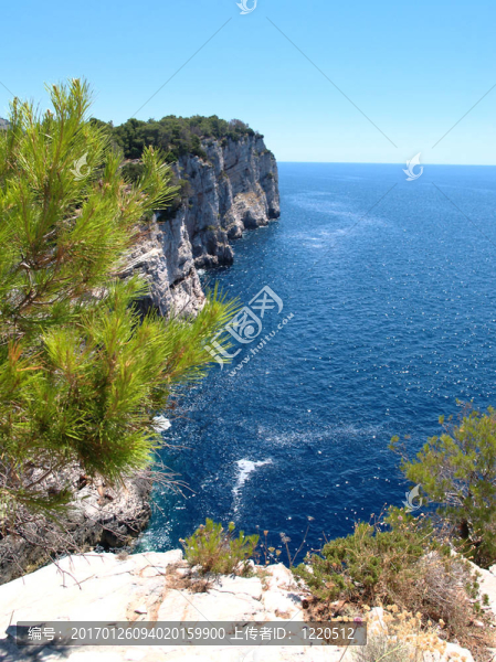 海岸