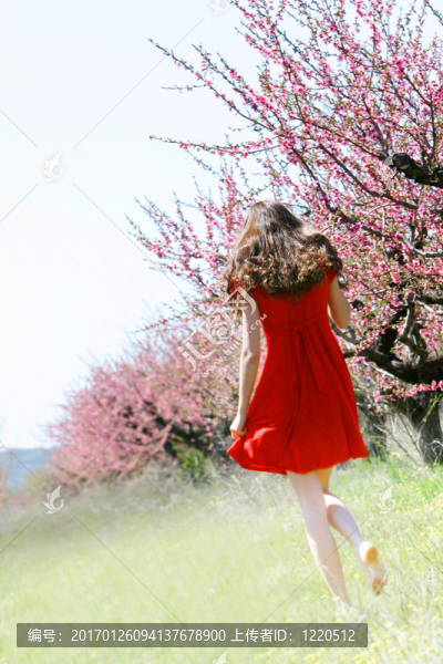 春園中的少女