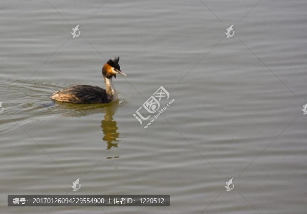 嚼谷湖