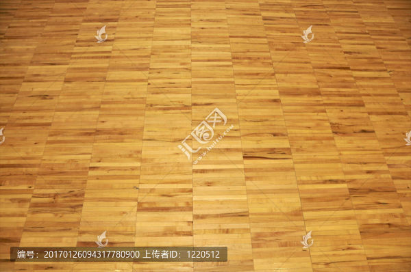 體育館籃球地板