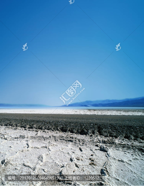 濱江鹽水