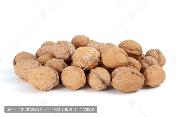 樁的核桃