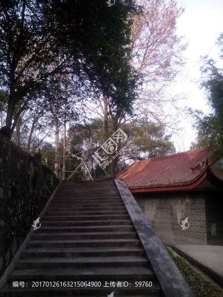 階梯建筑