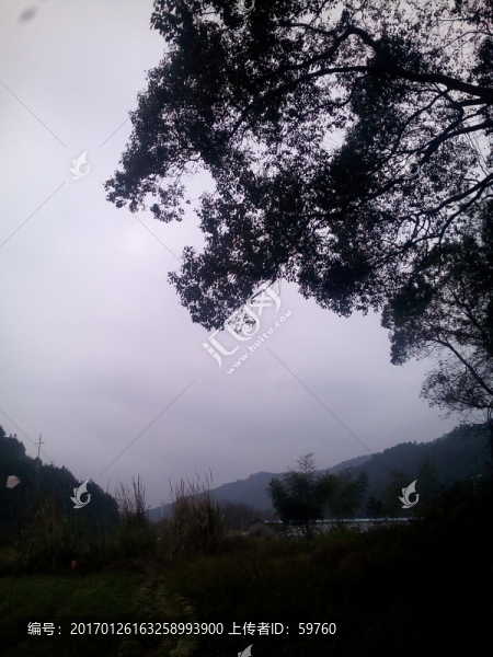 冬天的風(fēng)景