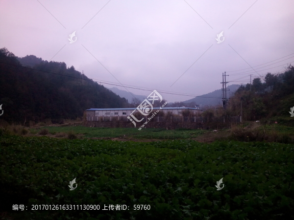 菜地風(fēng)景