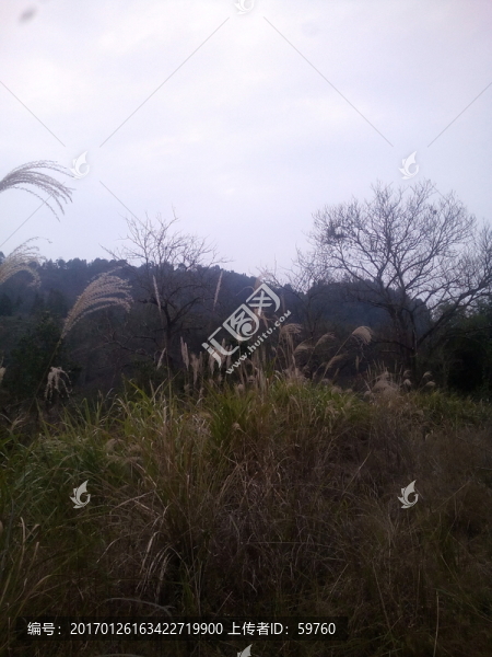 山野風景