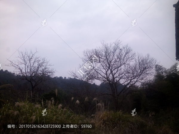 野外風(fēng)景