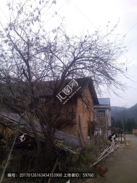鄉(xiāng)村風(fēng)景