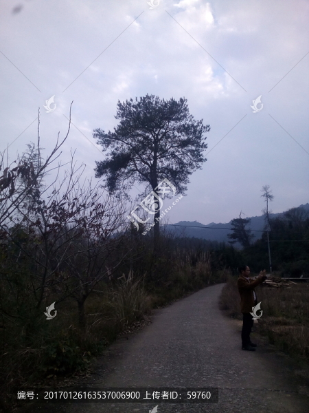 鄉(xiāng)村景色