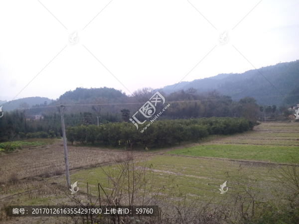 鄉(xiāng)村風(fēng)光