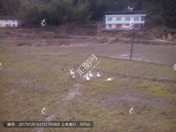 冬天的田野-匯圖網(wǎng) www.fosd68.com 冬天的田野