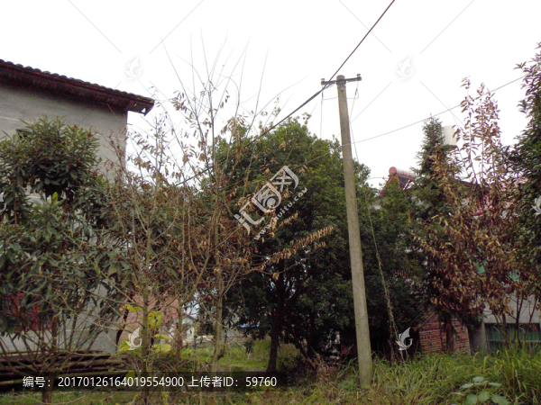 鄉(xiāng)村一角