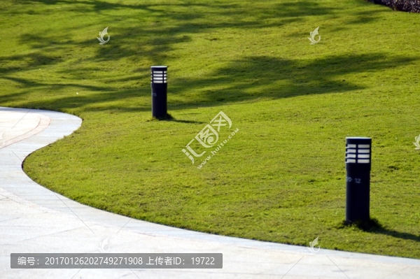 草地,草坪