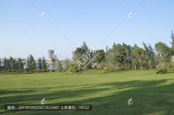 草地,草坪