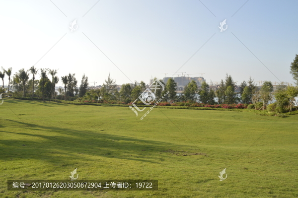 草地,草坪