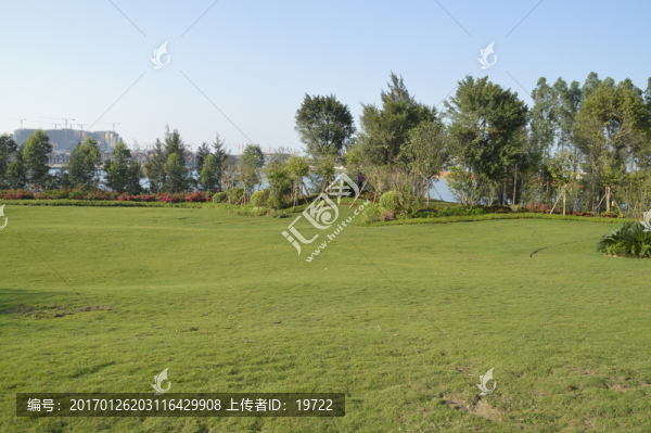 草地,草坪