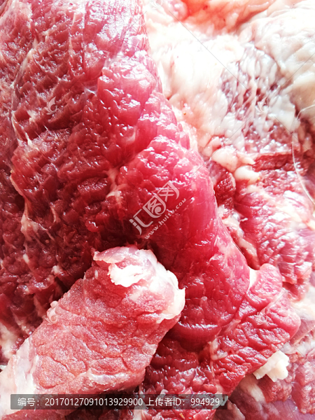 鮮豬肉